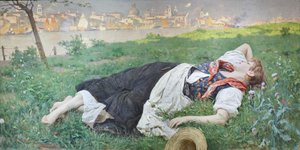 Il cardo selvatico