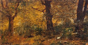 Studio del legno da Giuseppe or Joseph de Nittis