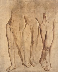 Tre studi di un nudo maschile, c. 1923-24