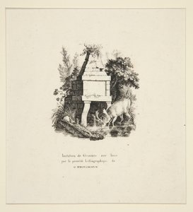 Cervo che beve da Godefroy Engelmann