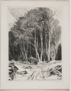 Taglio del bosco da Godfred Christensen