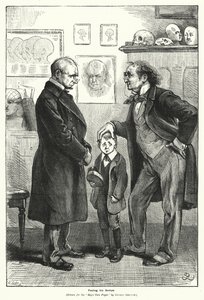 Sentire i suoi Urti (incisione) da Gordon Frederick (after) Browne