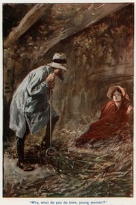 Illustrazione per Adam Bede da Gordon Frederick Browne