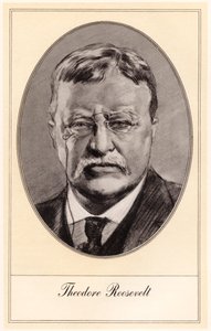 Theodore Roosevelt, 26º Presidente degli Stati Uniti da Gordon Ross