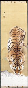 Tigre