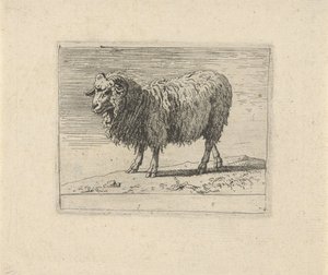 Ariete (Diverse animali) da Govert van der Leeuw