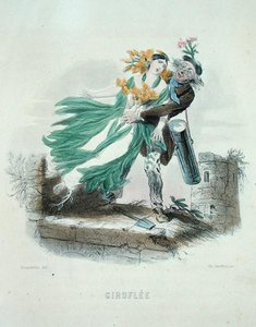 Erborista che ruba la Violaciocca, da 