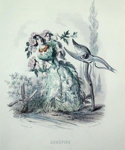 Il biancospino, da 