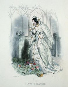 Il fiore d