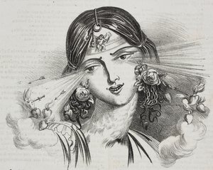 Bellezza femminile, caricatura di Jean-Jacques Grandville, litografia di Gaetano Riccio da Poliorama Pittoresco, n. 20, 24 dicembre da Grandville