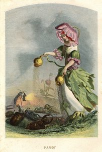 Illustrazione per 