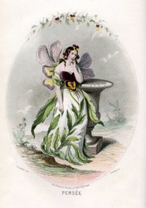 Illustrazione per 