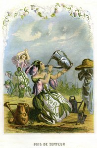 Illustrazione per 