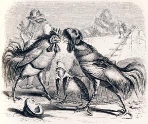 La pernice e i due galli - Favole di La Fontaine