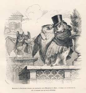 Pipistrello che ascolta una civetta e un gufo cantare. Vignette illustrate da JJ Granville. Incisione firmata Brevière nella parte intitolata "Souvenirs d