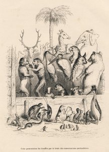 Conversazione tra animali