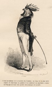 Gallo abituato alla barriera di combattimento che cammina fieramente. Vignette illustrate da JJ Granville. Incisione firmata Caque nella parte "Storia di una lepre" scritto da PJ Stahl in "Scene della vita privata e pubblica degli animali". Parigi, J. Hetz