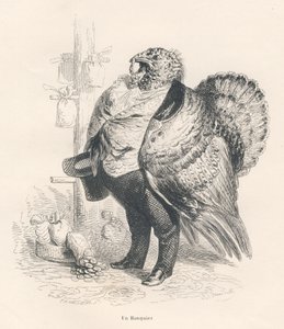 Tacchino in banchiere. Vignette illustrate da JJ Granville. Incisione firmata Tamisier nella parte intitolata "Ricordi di una vecchia cornacchia" scritto da PJ Stahl in "Scene della vita privata e pubblica degli animali". Parigi, J. Hetzel et Paulin