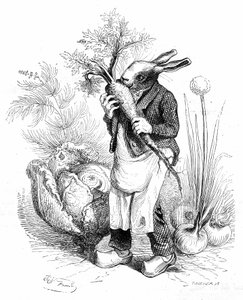 Incisione di Grandville, dal libro "Vita privata e pubblica degli animali (Les animaux peints par eux-mêmes)", edizione Hetzel 1867. Coniglio giardiniere che sgranocchia una carota nel suo orto dove crescono verdure (cipolle e cavoli).