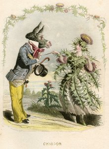 Illustrazione per 