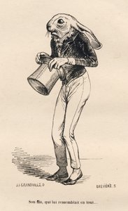 Lepre paurosa in costume da dandy. Vignette illustrate da JJ Granville. Incisione firmata Breviere nella parte "Storia di una lepre" scritto da PJ Stahl in "Scene della vita privata e pubblica degli animali". Parigi, J. Hetzel et Paulin da Grandville