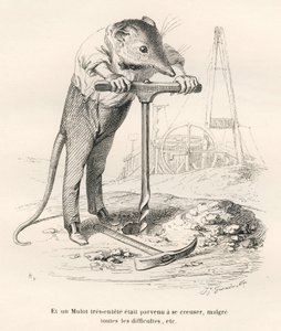 Topo che perfora il suolo. Vignette illustrate da JJ Granville. Incisione firmata Brevière nella parte intitolata "Souvenirs d