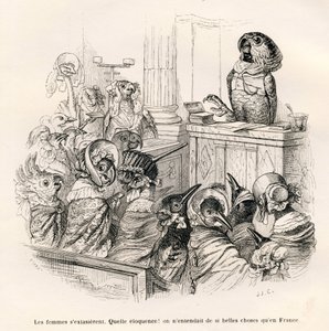 Pappagallo eloquente. Vignette illustrate da JJ Granville. Incisione firmata Porret nella parte intitolata "Guida-asino per gli animali che vogliono raggiungere gli onori" scritto da Honoré De Balzac in "Scene della vita privata e pubblica degli animali"