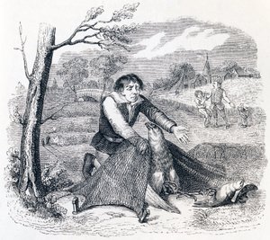 Il cacciatore di uccelli, l