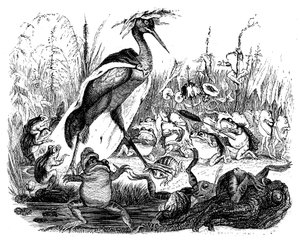 Le rane chiedono il re, illustrazione dalle 