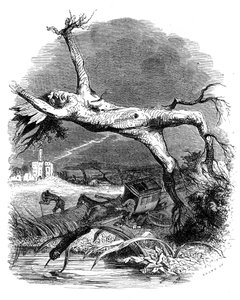 La quercia e la canna: favola di La Fontaine da Grandville (1803 47)