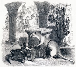 Il pipistrello e le due donnole (La chauve-souris et les deux belettes) - Favole di La Fontaine