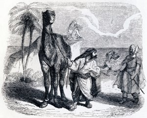 Il cammello e i bastoni galleggianti - Favole di La Fontaine
