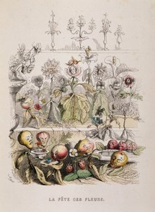 La festa dei fiori - disegno di Grandville da Grandville
