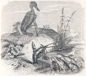 I pesci e il cormorano da Grandville