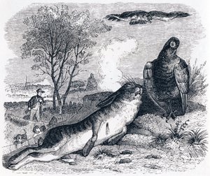 La lepre e la pernice (Le lièvre et la perdrix) - Favole di La Fontaine da Grandville