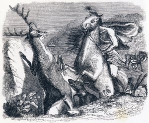 Il cavallo che voleva vendicarsi del cervo da Grandville