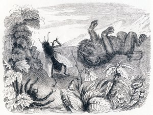 Il leone e la nebbia - Favole di La Fontaine