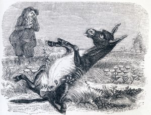 Il vecchio e la volpe da Grandville