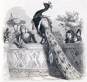 Il pavone che si lamenta con Giunone - Favole di La Fontaine da Grandville