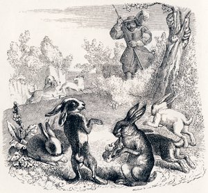 I conigli (Les lapins) - Favole di La Fontaine