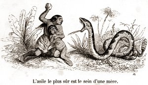 Il rifugio più sicuro è il seno di una madre da Grandville (1803 47)