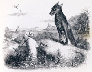 Il lupo e l
