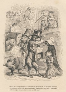 Ecco cosa è appena uscito. Gatto e uccello che vendono il presente libro per sei soldi. Vignette illustrate da JJ Granville. Incisione firmata Andrew, Best e Leloir nel prologo intitolato "Résumé parlementaire" scritto da PJ Stahl in "Scenes de la vie
