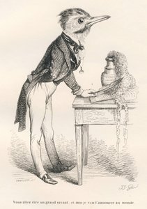 Sarai un grande scienziato, e io lo annuncerò al mondo. Vignette illustrate da JJ Granville. Incisione firmata Tamisier nella parte intitolata "Guida-asino per gli animali che vogliono raggiungere gli onori" scritto da Honoré De Balzac da Grandville