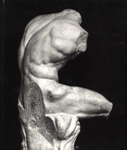Torso del Belvedere (marmo) (foto b/n) da Greco Roman Greco Roman