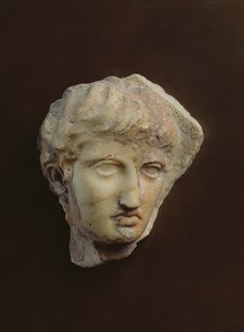 Testa di un cavaliere noto come La Coulonche da Greek