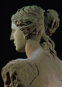 Venere di Milo, dettaglio del retro della testa, periodo ellenistico, c.100 a.C. (dettaglio)