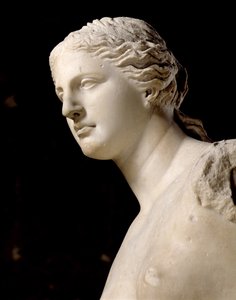Venere di Milo, dettaglio della testa