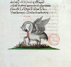 Un pellicano che perfora il suo petto per nutrire i suoi piccoli, da un Bestiario di Manuel Philes, 1566 da Greek School