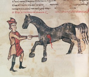 Ms Grec 2244 fol.37v Operazione su un cavallo da Greek School